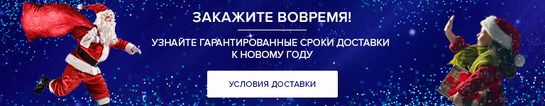 Гарантированные сроки доставки к Новому году